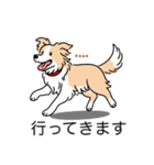 名前入りボーダーコリーウィートン（個別スタンプ：24）