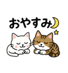 ねこのラテノア（個別スタンプ：2）