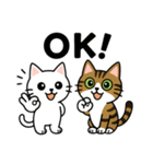 ねこのラテノア（個別スタンプ：3）