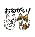 ねこのラテノア（個別スタンプ：4）