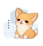 愛らしいコーギーの日常 (J1)（個別スタンプ：21）