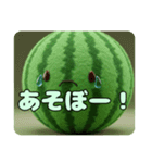 もふもふスイカスタンプ（個別スタンプ：1）