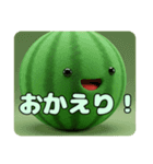 もふもふスイカスタンプ（個別スタンプ：10）