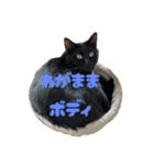 実家の歴代にゃんず（個別スタンプ：19）