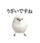 【爆笑】口が悪いシマエナガ（個別スタンプ：3）