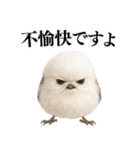 【爆笑】口が悪いシマエナガ（個別スタンプ：7）