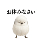 【爆笑】口が悪いシマエナガ（個別スタンプ：8）