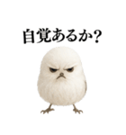 【爆笑】口が悪いシマエナガ（個別スタンプ：10）