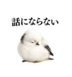 【爆笑】口が悪いシマエナガ（個別スタンプ：15）