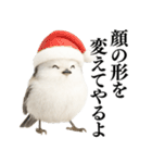 【爆笑】口が悪いシマエナガ（個別スタンプ：16）