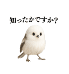 【爆笑】口が悪いシマエナガ（個別スタンプ：22）