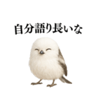 【爆笑】口が悪いシマエナガ（個別スタンプ：24）
