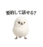【爆笑】口が悪いシマエナガ（個別スタンプ：26）