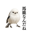 【爆笑】口が悪いシマエナガ（個別スタンプ：31）