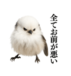 【爆笑】口が悪いシマエナガ（個別スタンプ：33）
