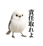 【爆笑】口が悪いシマエナガ（個別スタンプ：34）