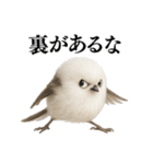 【爆笑】口が悪いシマエナガ（個別スタンプ：36）