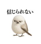【爆笑】口が悪いシマエナガ（個別スタンプ：37）