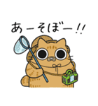 ねこぽっくる茶トラ【友達】（個別スタンプ：11）