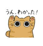 ねこぽっくる茶トラ【友達】（個別スタンプ：14）