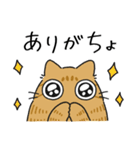 ねこぽっくる茶トラ【友達】（個別スタンプ：18）