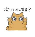 ねこぽっくる茶トラ【友達】（個別スタンプ：25）