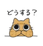 ねこぽっくる茶トラ【友達】（個別スタンプ：30）