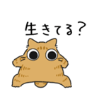 ねこぽっくる茶トラ【友達】（個別スタンプ：31）