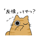 ねこぽっくる茶トラ【友達】（個別スタンプ：36）