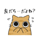 ねこぽっくる茶トラ【友達】（個別スタンプ：38）