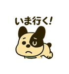 ずっと使えるわんわんスタンプ（個別スタンプ：10）