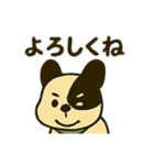 ずっと使えるわんわんスタンプ（個別スタンプ：13）