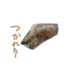 ここっちゃんの日常（個別スタンプ：2）