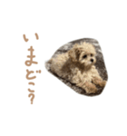 ここっちゃんの日常（個別スタンプ：3）