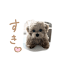 ここっちゃんの日常（個別スタンプ：4）
