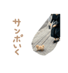 ここっちゃんの日常（個別スタンプ：9）