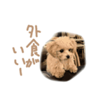 ここっちゃんの日常（個別スタンプ：13）