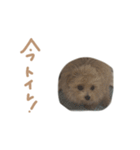 ここっちゃんの日常（個別スタンプ：14）
