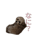 ここっちゃんの日常（個別スタンプ：22）