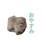 ここっちゃんの日常（個別スタンプ：23）