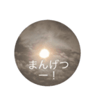 美しい日々パート2（個別スタンプ：5）