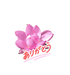 再び幸あれ（個別スタンプ：1）