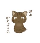 わが家ののにゃんず（個別スタンプ：1）