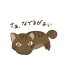 わが家ののにゃんず（個別スタンプ：4）