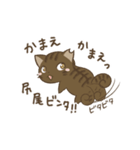 わが家ののにゃんず（個別スタンプ：6）