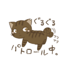 わが家ののにゃんず（個別スタンプ：7）