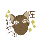 わが家ののにゃんず（個別スタンプ：13）