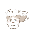 わが家ののにゃんず（個別スタンプ：17）