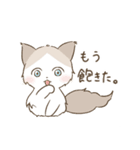 わが家ののにゃんず（個別スタンプ：19）