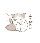 わが家ののにゃんず（個別スタンプ：21）